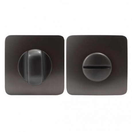 Фиксатор сантехнический Colombo Design Rosetta PT19 BZG графит матовый