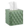 Салфетница COLOMBO DESIGN ADJ 115.60/50 настольная цвет эвкалипт/небесный