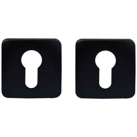 Накладка под цилиндр Colombo Design Rosetta OneQ CC23 титан 2 шт